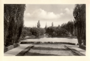 Senftenberg